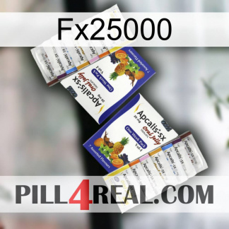 Fx25000 12